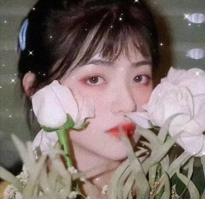 嗜血破晓